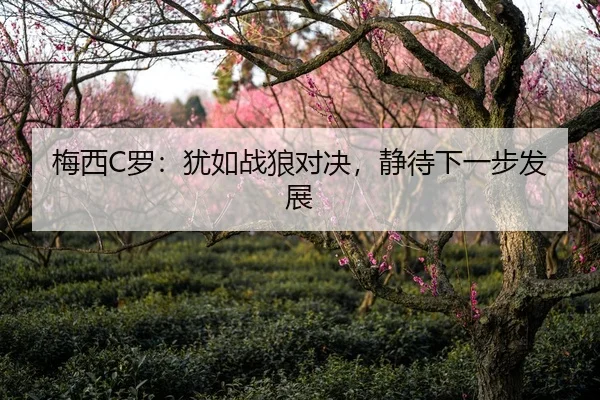 梅西C罗：犹如战狼对决，静待下一步发展