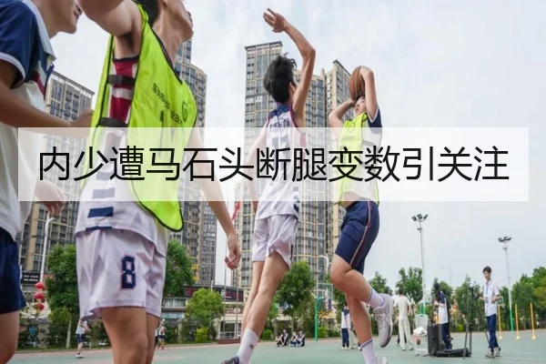 内少遭马石头断腿变数引关注